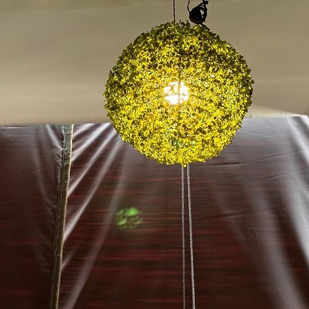 Rukmani Villas Group Of Rukmani Home Stay Mathura Kültér fotó