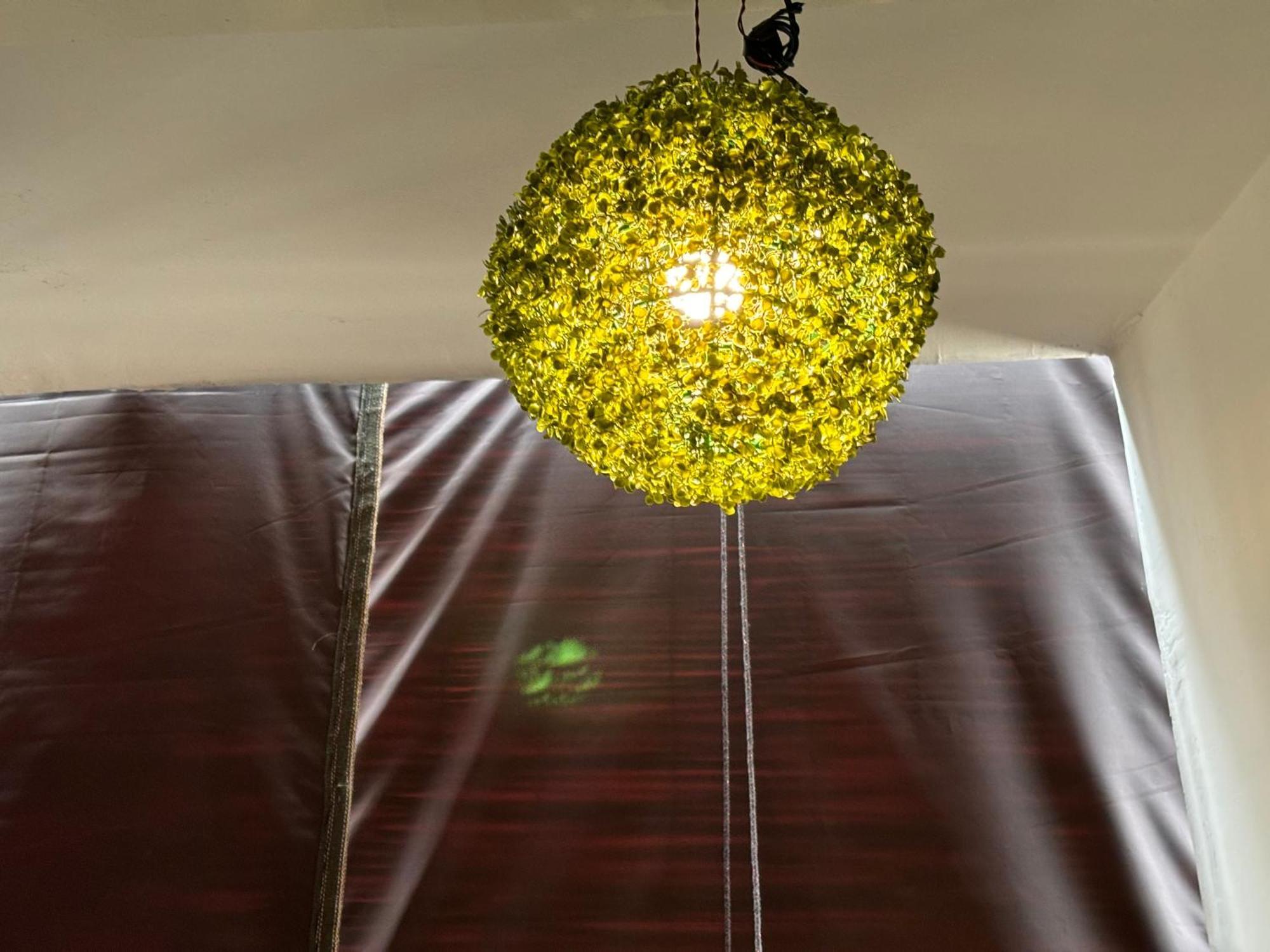 Rukmani Villas Group Of Rukmani Home Stay Mathura Kültér fotó